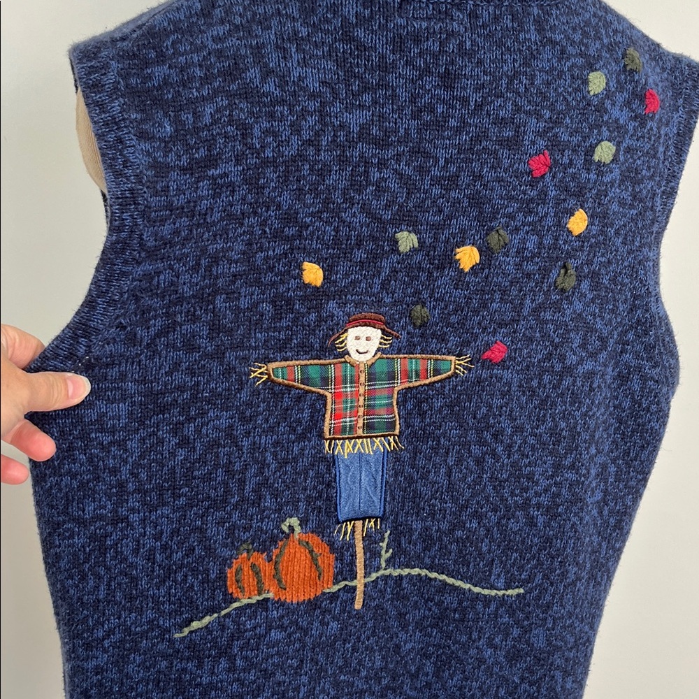 CJ Banks Women’s Size 1X Sweater Vest Hand Embroidered Fall Autumn Pumpkin - Picture 6 of 13
